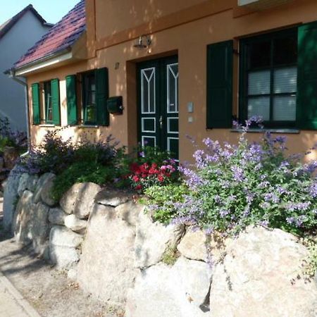 Ferienwohnung Thum Wustrow  Exterior photo